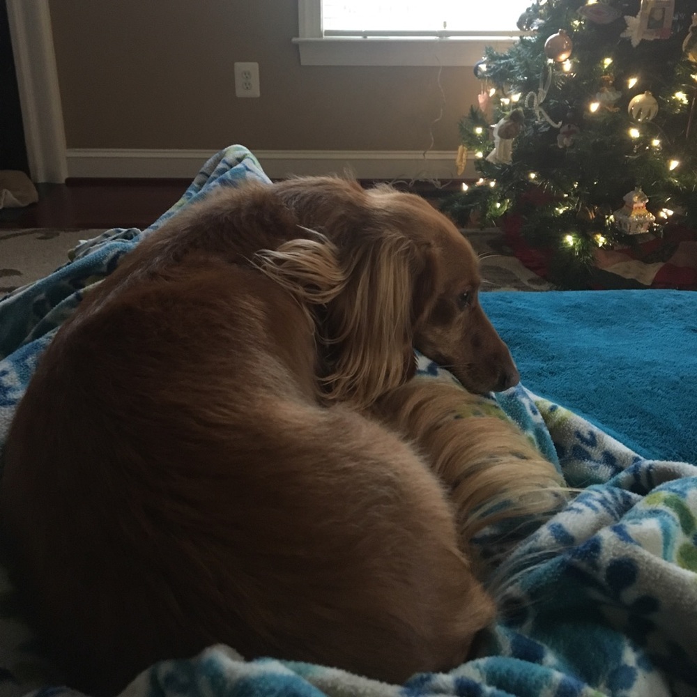 Meet your Posher, Karen